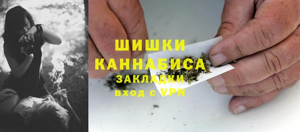 прущий лед Вязьма