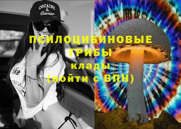 прущий лед Вязьма