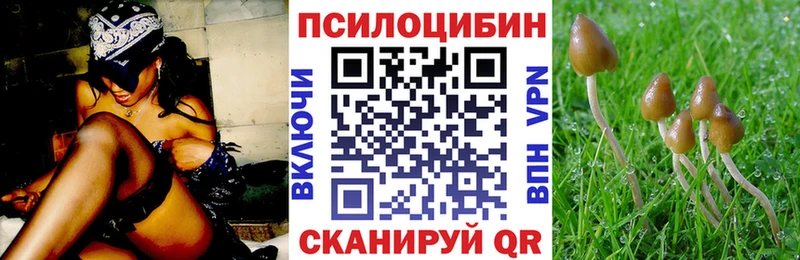 Галлюциногенные грибы ЛСД  даркнет официальный сайт  Железноводск 