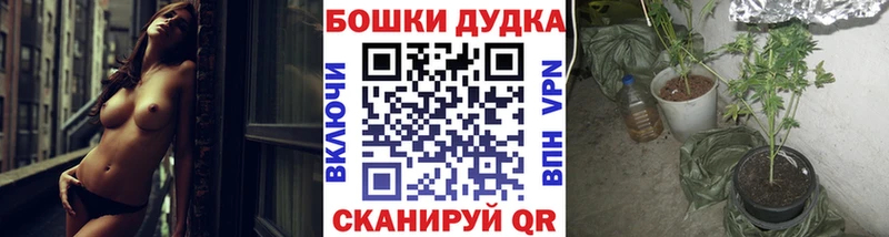 Бошки Шишки гибрид Железноводск